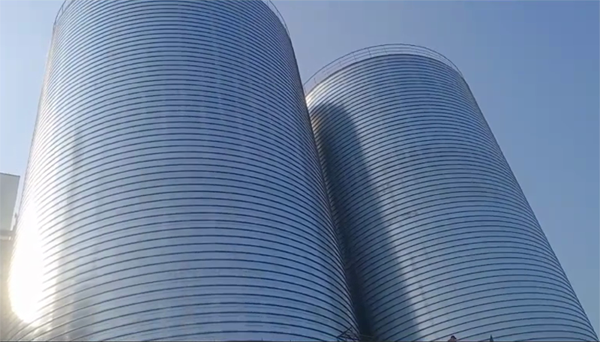 息县2座混凝土高架卷板仓